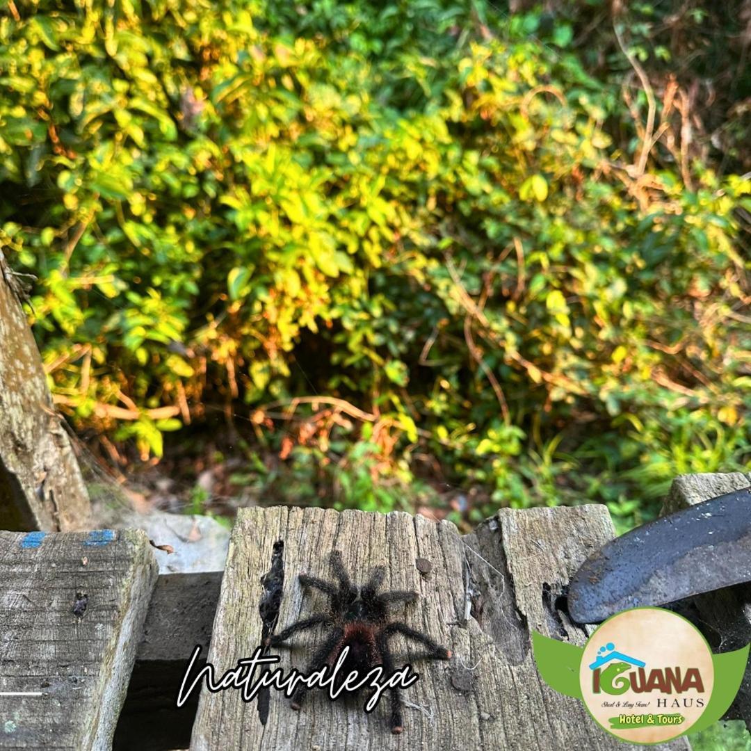 Iguana Haus Iquitos Apartamento Exterior foto